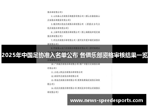 2025年中国足协准入名单公布 各俱乐部资格审核结果一览