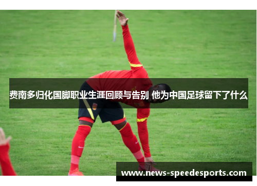 费南多归化国脚职业生涯回顾与告别 他为中国足球留下了什么