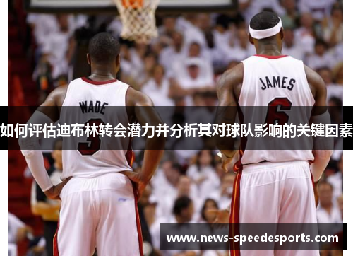 如何评估迪布林转会潜力并分析其对球队影响的关键因素